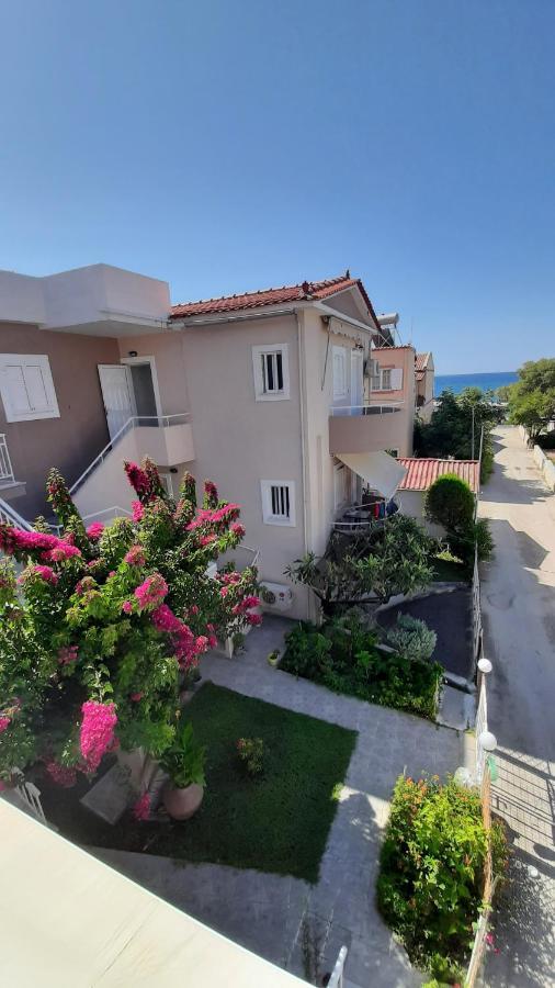 Alkioni Studios Vatera Luaran gambar